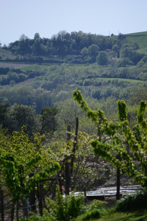 Gite Les Pins Montchenu Exterior photo